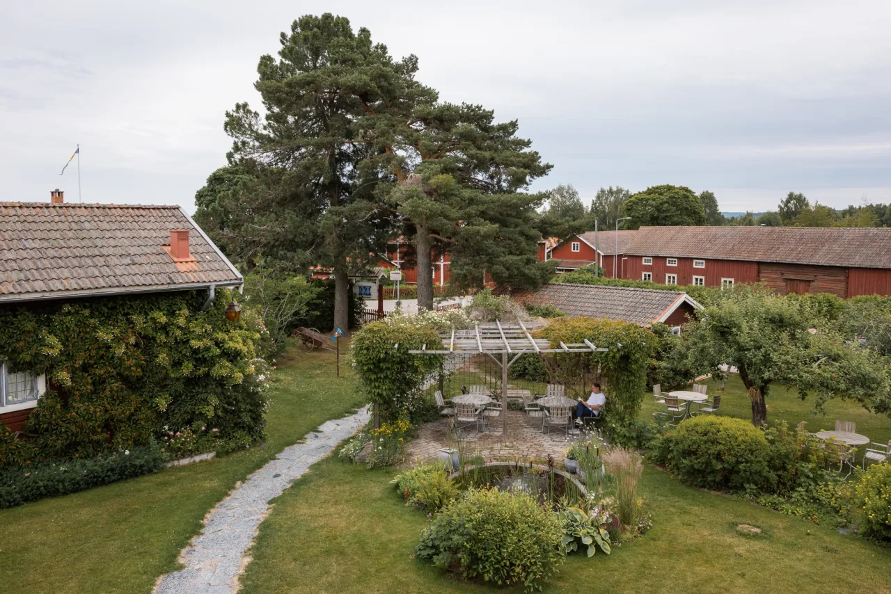 utsikt över gården.