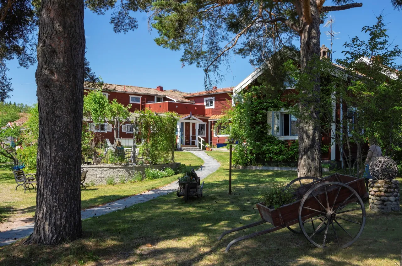 Grönskande trädgård på Masesgården sommartid.